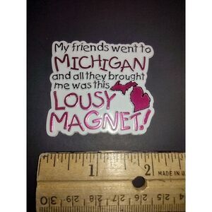 Michigan Friends All They Brought Me Was This Lousy Magnet Travel‎ Souvenir Gift
